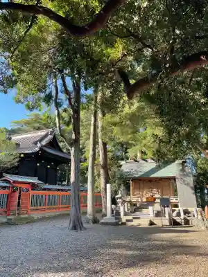 玉前神社(千葉県)