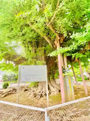 千葉寺(千葉県)