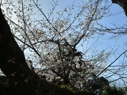 息栖神社(茨城県)