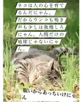 専念寺(大阪府)