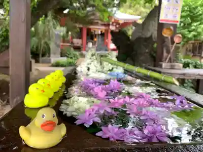 柏諏訪神社の手水舎