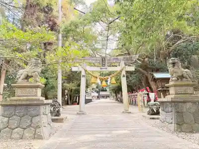 多賀神社（尾張多賀神社）の{uncategorized: "未分類", other: "その他", undefined: "問題あり", building: "その他建物", grave: "お墓", sacred_gate: "鳥居", guardian: "狛犬", statue: "像", buddha: "仏像", history: "歴史", nature: "自然", garden: "庭園", animal: "動物", pagoda: "塔", temizu: "手水舎", mountain_gate: "山門・神門", sanctuary: "本殿・本堂", subordinate: "末社・摂社", art: "芸術", scenery: "景色", jizo: "地蔵", ema: "絵馬", goshuin: "御朱印", omikuji: "おみくじ", items: "授与品その他", amulet: "お守り", goshuincho: "御朱印帳", eats: "食事", festival: "お祭り", votive_dance: "神楽", shichigosan: "七五三参", wedding: "結婚式", experience: "体験その他", initially: "初詣", around: "周辺", anti_infection: "感染症対策"}