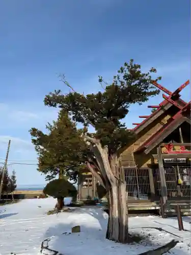 由追稲荷神社(北海道)