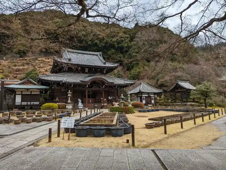 三室戸寺(京都府)