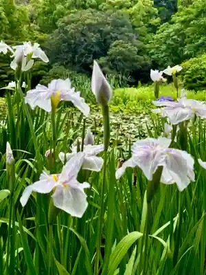 勧修寺(京都府)