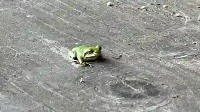 青竜寺(山形県)