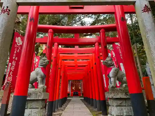 大杉神社の鳥居