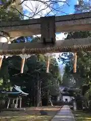 佐々牟志神社(福井県)