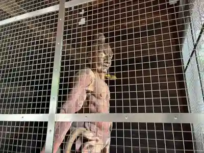 切幡寺(徳島県)