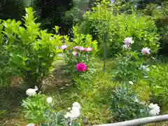 白山神社の自然