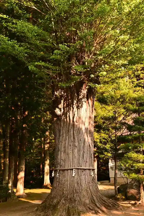 貞祥寺(長野県)