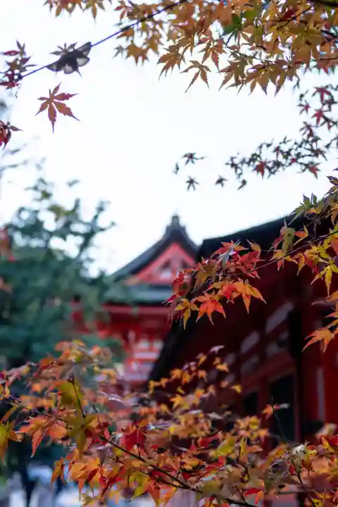 賀茂御祖神社(下鴨神社)(京都府)