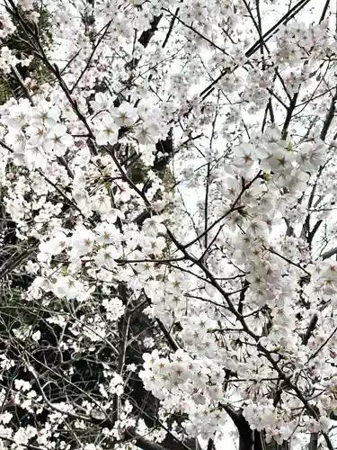赤羽八幡神社(東京都)