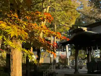 諏訪大社下社秋宮(長野県)