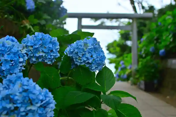 酒列磯前神社(茨城県)