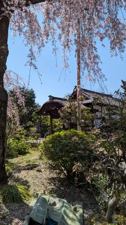 法金剛院(京都府)