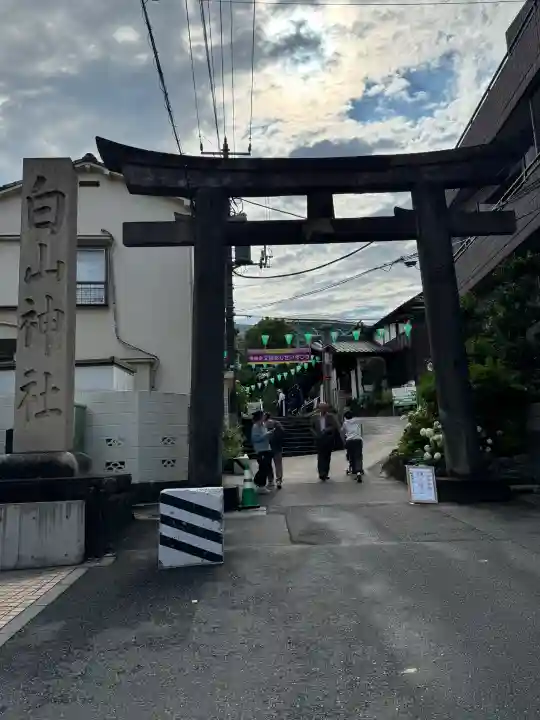 白山神社(東京都)