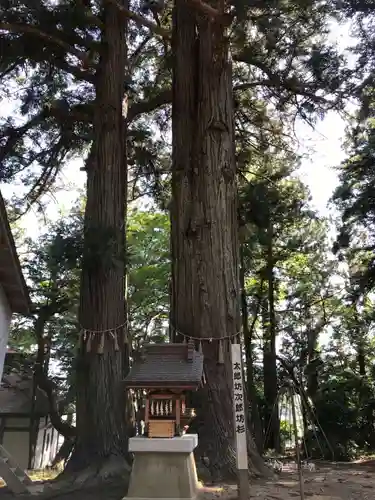 米川八幡神社の自然