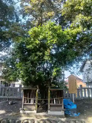 御井神社(岐阜県)