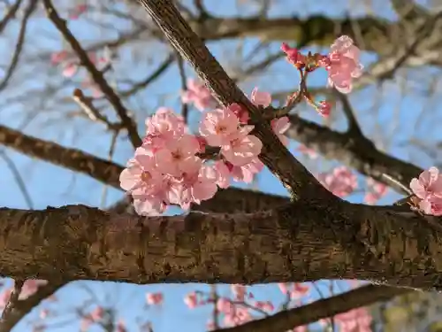 三津厳島神社(愛媛県)
