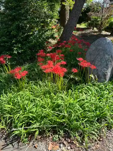 八幡神社の自然