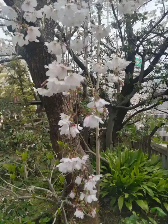 一宮神社(兵庫県)