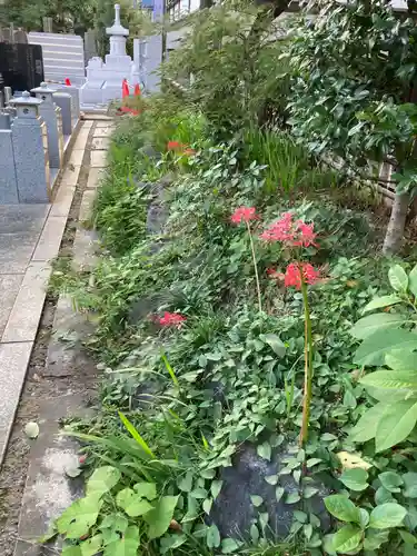 感通寺(東京都)