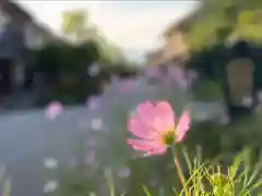 白鳥神社(長野県)