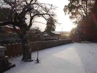 大頭神社(広島県)