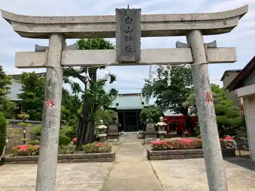 白山神社(東京都)