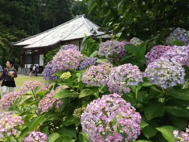 千光寺(福岡県)