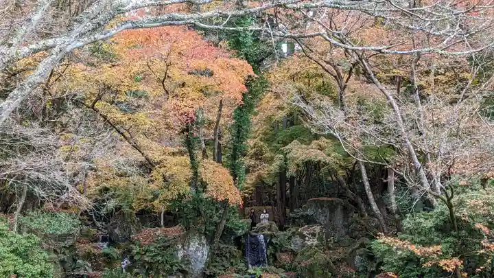 醍醐寺(京都府)