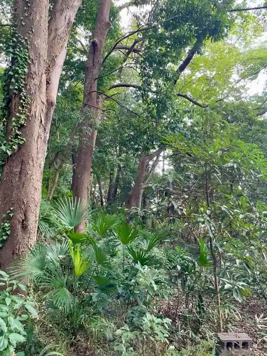 秀郷稲荷大明神(東京都)