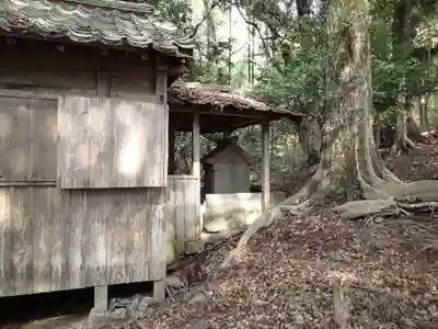 濱殿神社の本殿・本堂