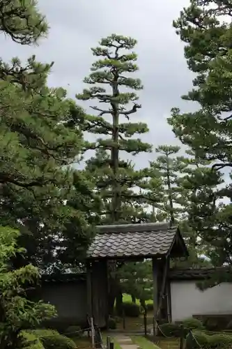 安楽寺の庭園