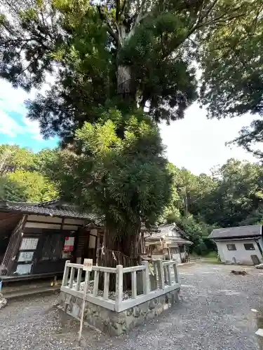 愛宕神社（阿多古神社）(京都府)