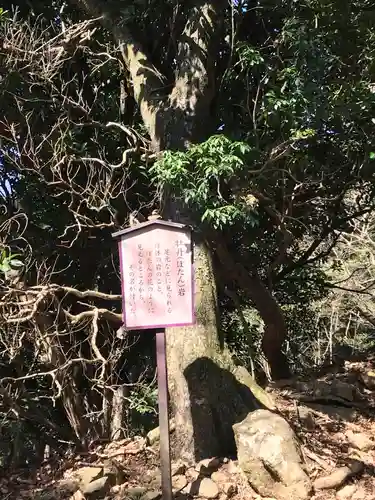 大山阿夫利神社本社のその他建物