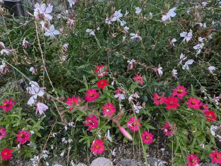 相馬妙見宮 大上川神社の自然