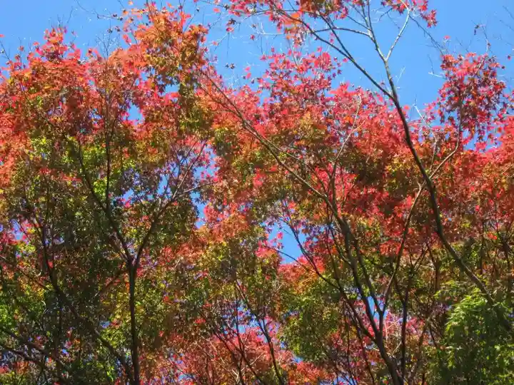 俵山八幡宮(山口県)