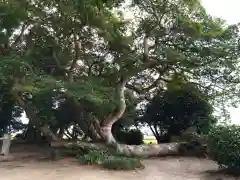 志登神社(福岡県)