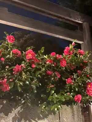 東京大神宮(東京都)