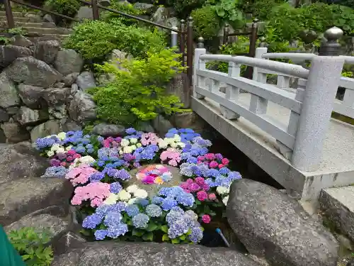 岡寺（龍蓋寺）(奈良県)