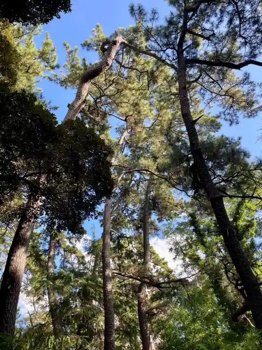 春日神社(千葉県)