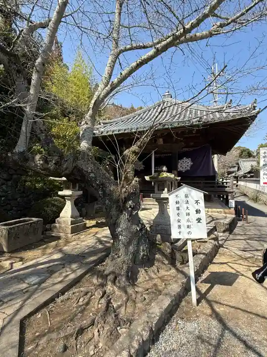 粉河寺の{uncategorized: "未分類", other: "その他", undefined: "問題あり", building: "その他建物", grave: "お墓", sacred_gate: "鳥居", guardian: "狛犬", statue: "像", buddha: "仏像", history: "歴史", nature: "自然", garden: "庭園", animal: "動物", pagoda: "塔", temizu: "手水舎", mountain_gate: "山門・神門", sanctuary: "本殿・本堂", subordinate: "末社・摂社", art: "芸術", scenery: "景色", jizo: "地蔵", ema: "絵馬", goshuin: "御朱印", omikuji: "おみくじ", items: "授与品その他", amulet: "お守り", goshuincho: "御朱印帳", eats: "食事", festival: "お祭り", votive_dance: "神楽", shichigosan: "七五三参", wedding: "結婚式", experience: "体験その他", initially: "初詣", around: "周辺", anti_infection: "感染症対策"}