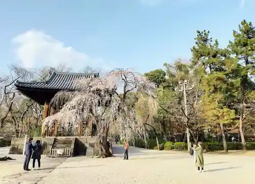 増上寺の庭園