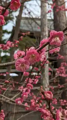 北野天満宮(京都府)