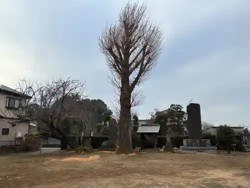 熊野神社(千葉県)