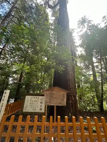 高千穂神社(宮崎県)