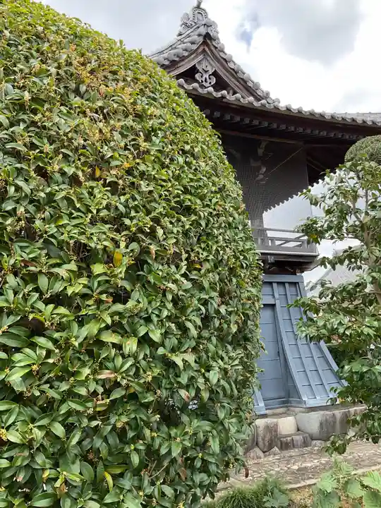 宗栄寺(愛知県)