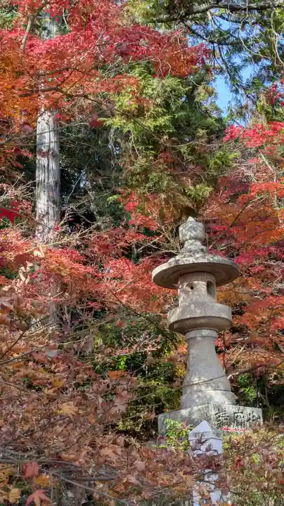 光明寺(粟生光明寺)(京都府)